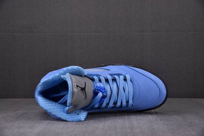 Air Jordan 5 Concord DV1310-401
